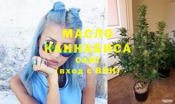 индика Каменногорск