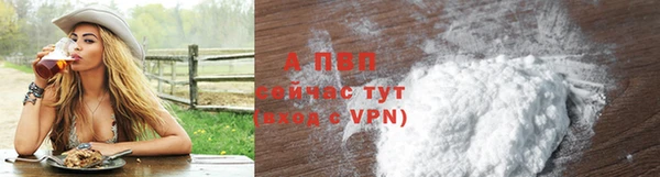 стафф Каменка