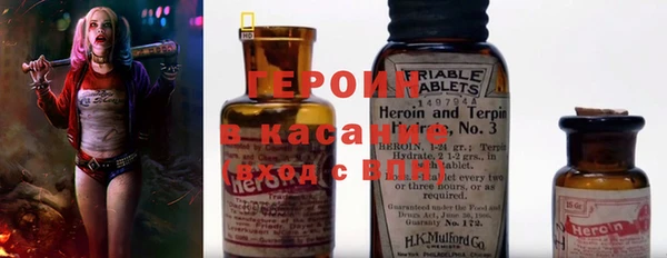 индика Каменногорск
