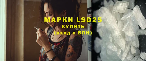 индика Каменногорск