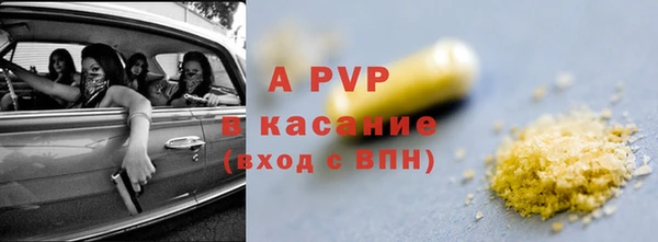 индика Каменногорск
