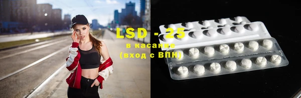 стафф Каменка