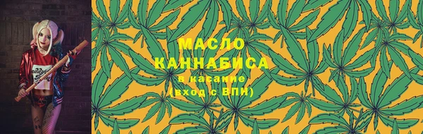 индика Каменногорск