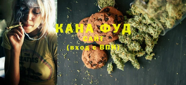 индика Каменногорск