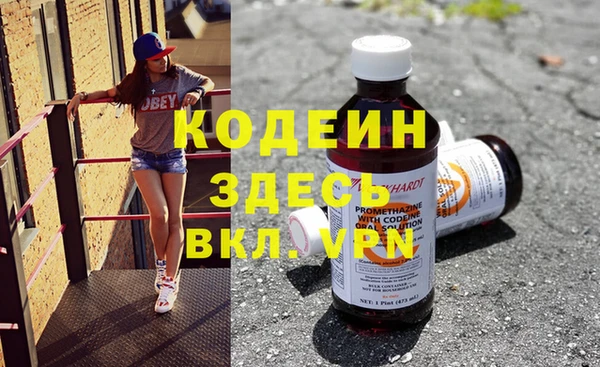 индика Каменногорск