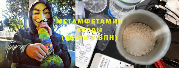 индика Каменногорск