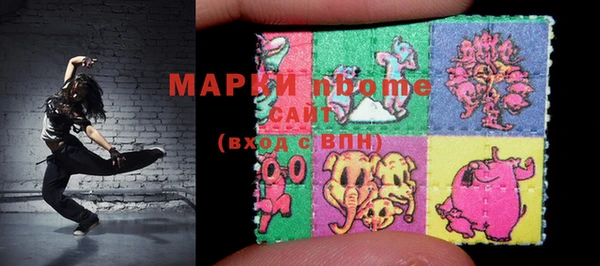 индика Каменногорск