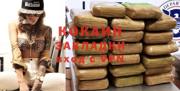 стафф Каменка