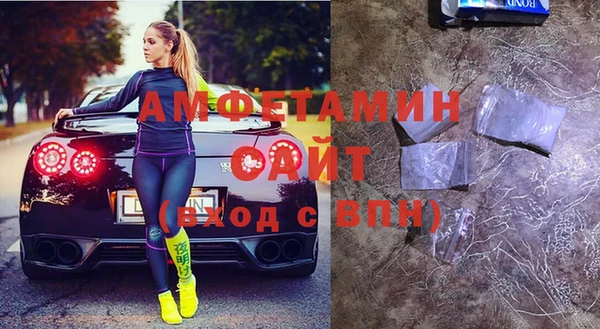 индика Каменногорск