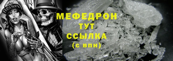 индика Каменногорск