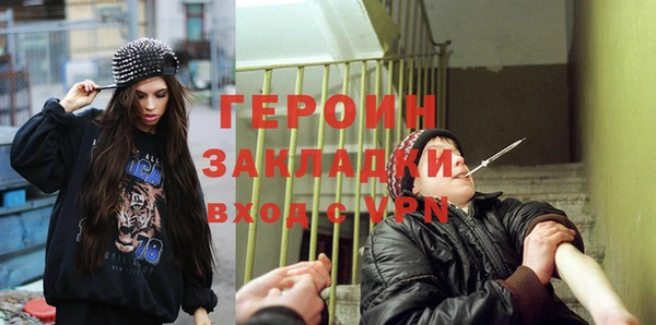 индика Каменногорск