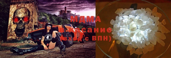 индика Каменногорск