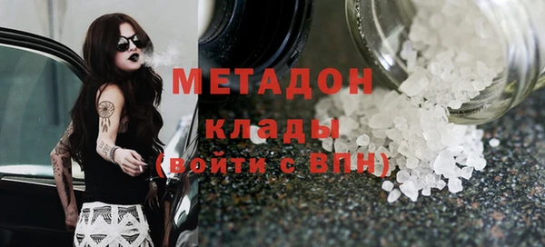 индика Каменногорск