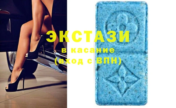 стафф Каменка