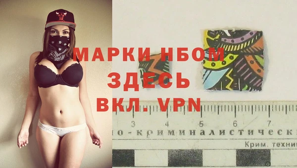 индика Каменногорск