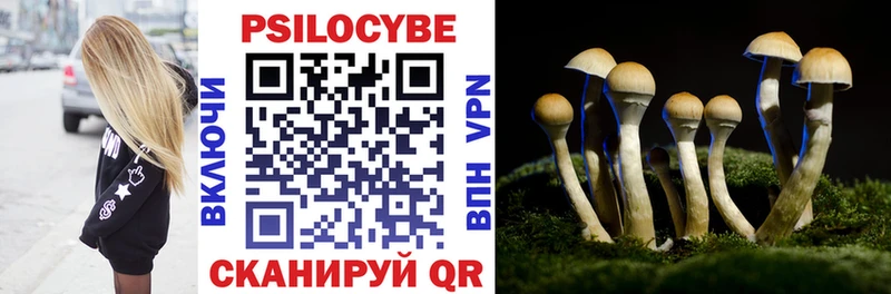 Галлюциногенные грибы GOLDEN TEACHER Купить закладки Тюкалинск